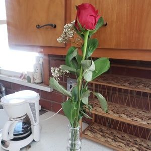 Meet your Posher, Joan